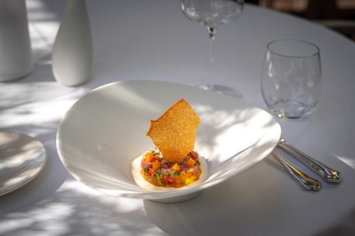 Thunfischtatar 500x333 La Passion Porcelaine by Chef Hubertus Real from Parkhotel Sonnenhof Vaduz